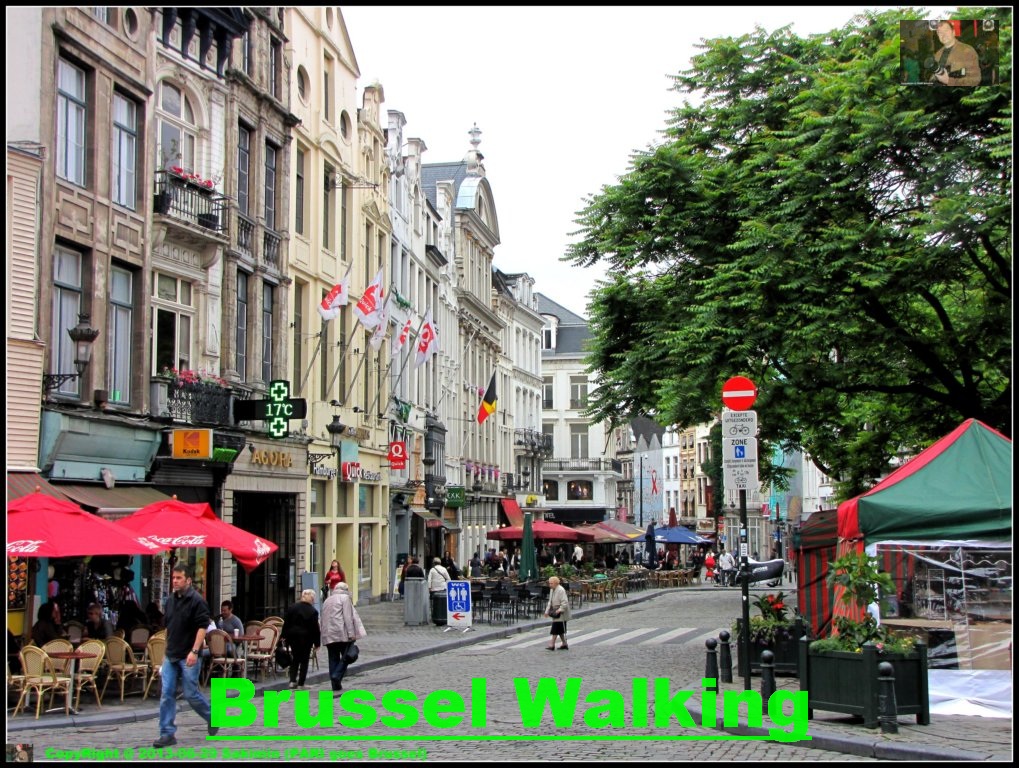 Brussel Walking 29-06-2013
