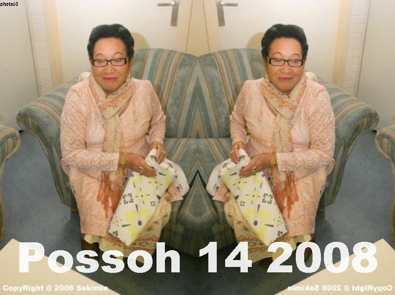 Possoh 14-2008